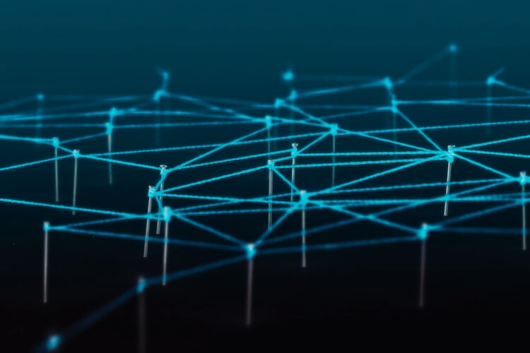 decentralized organization