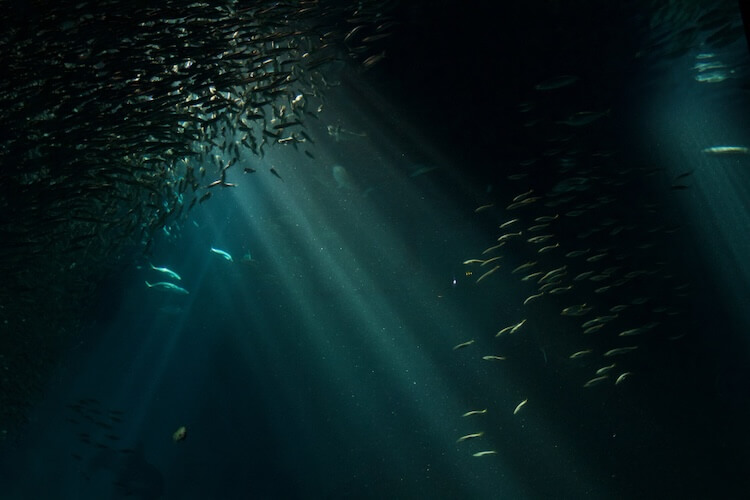 Deep liquidity with market makers